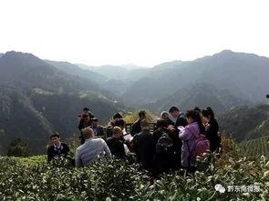 雷山县视频爆料,揭秘神秘民族风情与文化传承  第2张