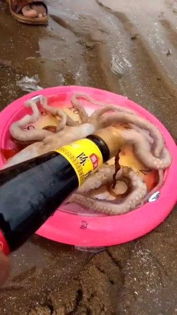 吃瓜网红章鱼,揭秘娱乐圈幕后真相  第3张